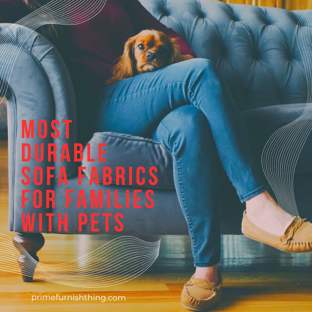 Most Durable Sofa Fabrics for Families with Pets