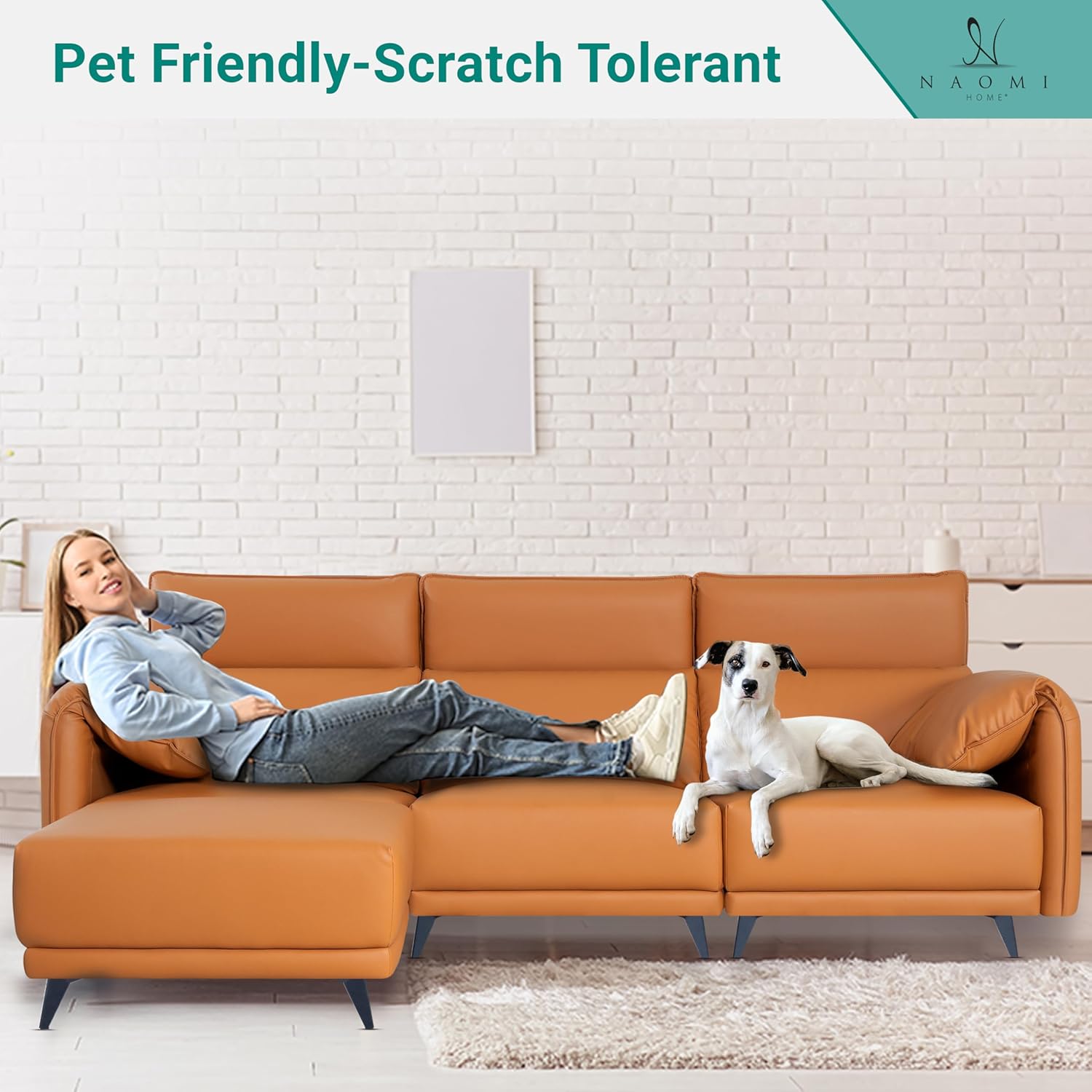 Pet-Friendly Sofas Under $300